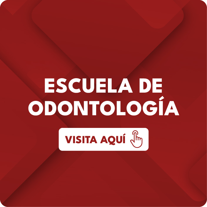 Tarjetas para formación continua 17