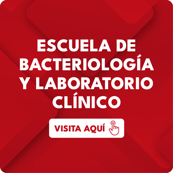 Tarjetas para formación continua 19